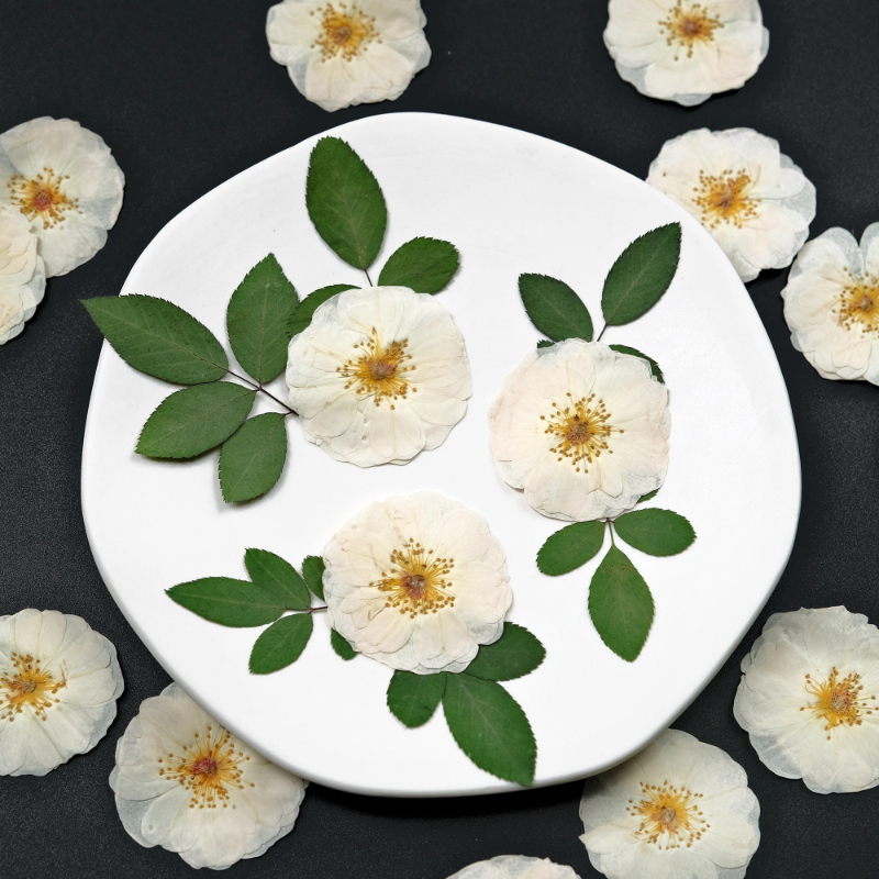 Resin Craft Ideas - 6pcs,9pcs,Nature White Rose Pressed Flowers DIY