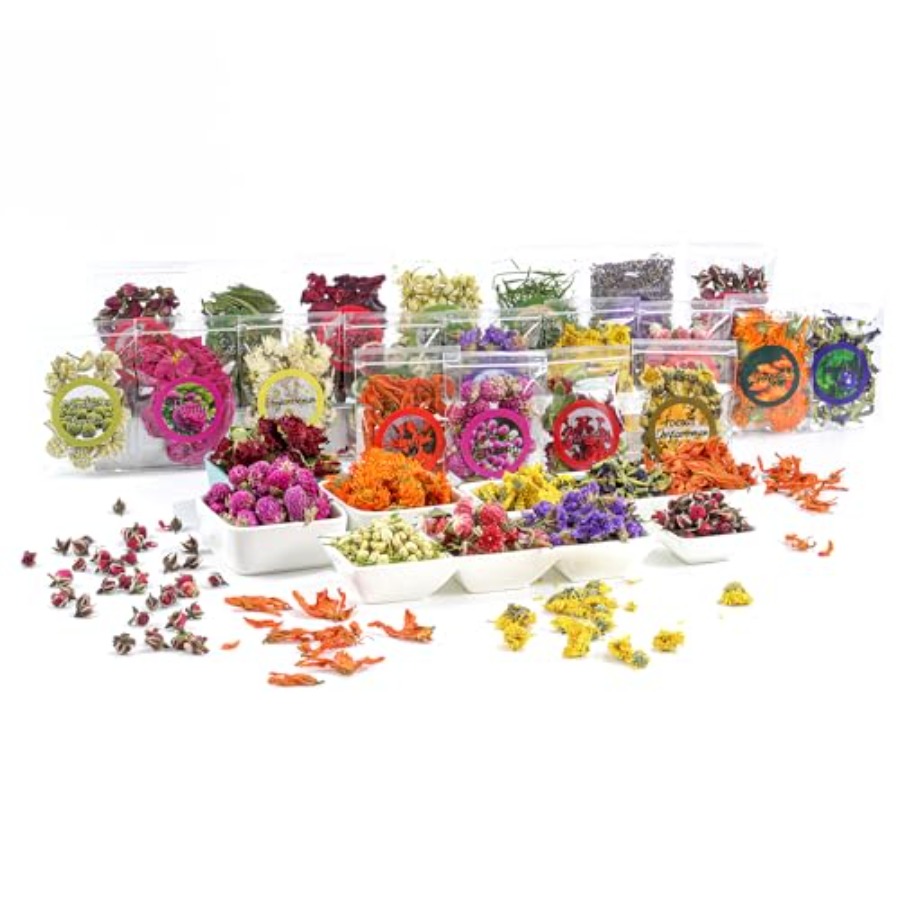 Resin Craft Kit - Natural Dried Fruit and Flower Kit