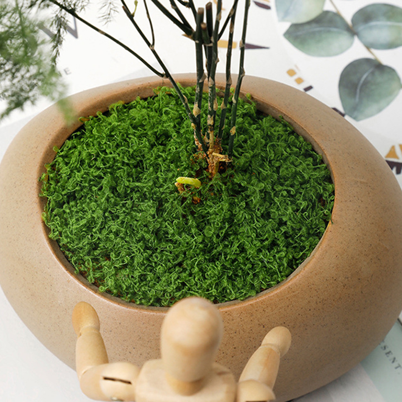 about 20g Artificial Green Pla – Terrarium Moss Art recenzja i cena