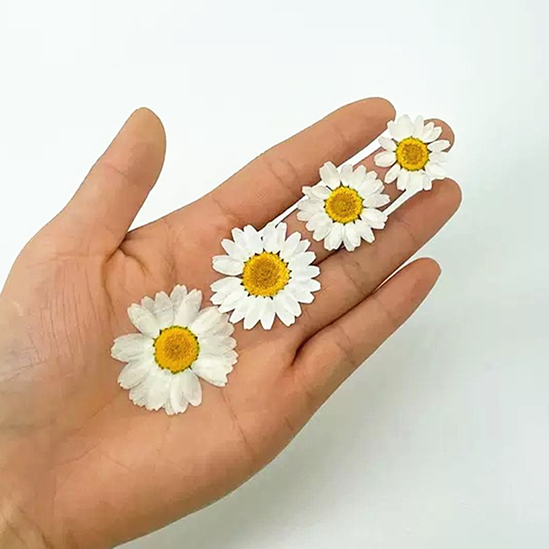 100Pcs Natural White Crystal C – Resin Craft Ideas recenzja i cena
