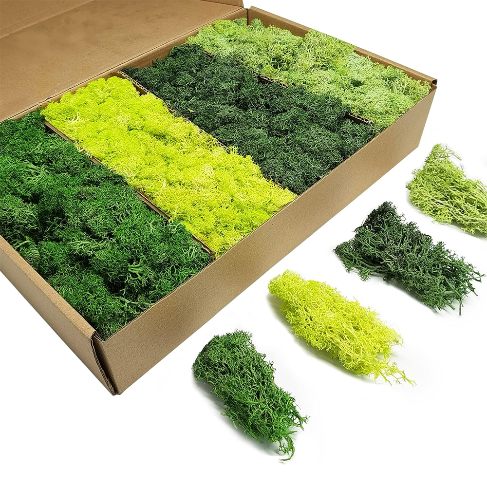 Artificial Green Plants Eterna – Terrarium Moss Art recenzja i cena