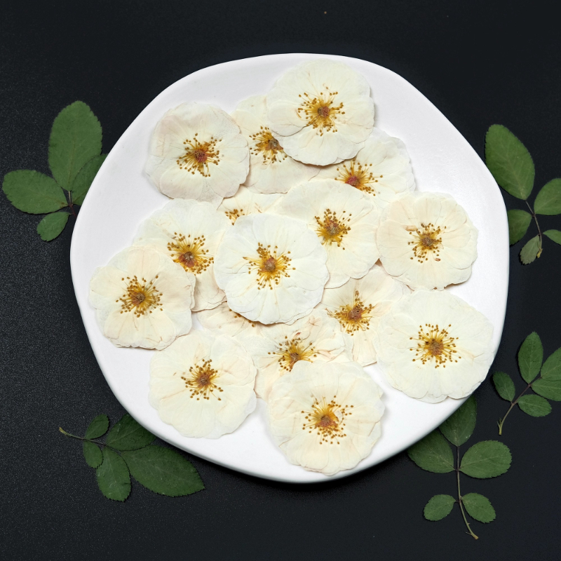 6pcs,9pcs,Nature White Rose Pr – Resin Craft Ideas recenzja i cena