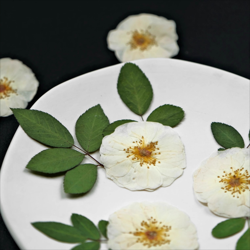 6pcs,9pcs,Nature White Rose Pr – Resin Craft Ideas recenzja i cena