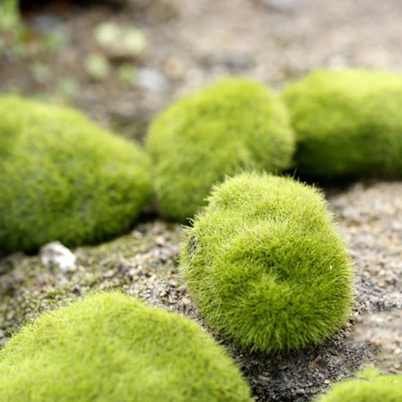 Fake Stone Artificial Moss Roc – Terrarium Moss Art recenzja i cena