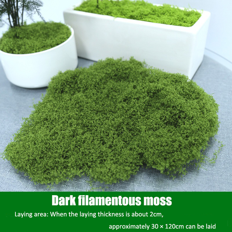 Artificial simulation of moss  – Terrarium Moss Art recenzja i cena
