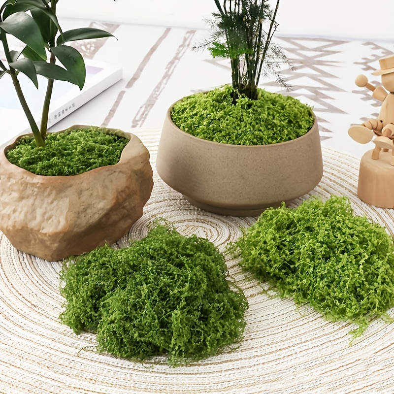 30/50/100g Fake Green Moss Art – Terrarium Moss Art recenzja i cena